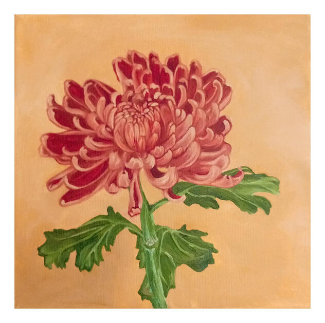 'Yellow Chrysanthemum'